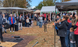 Featured image of post Newsletter #2 ist da!