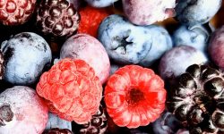 Featured image of post Unser erster Mitglieder-Newsletter ist da!