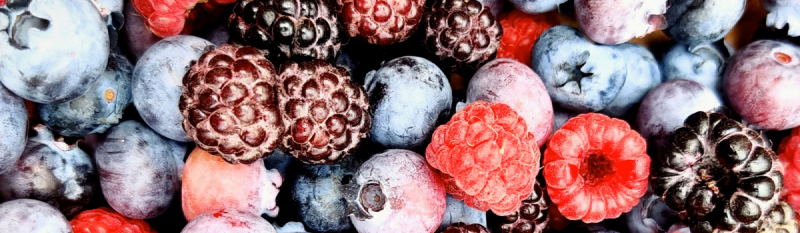 Featured image of post Unser erster Mitglieder-Newsletter ist da!