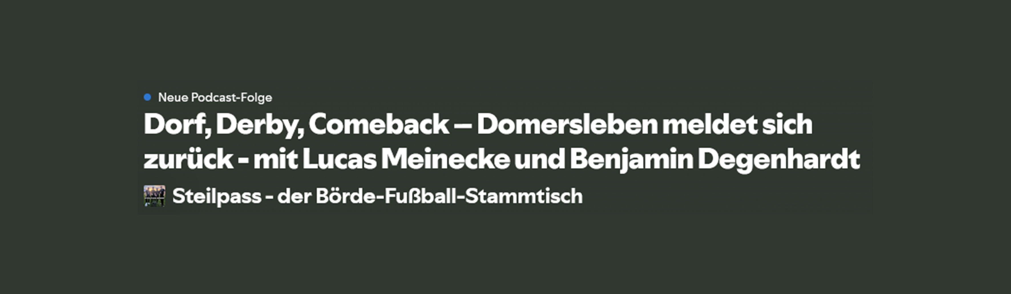 Featured image of post DSV beim Podcast \